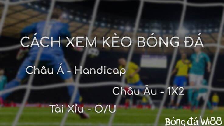 Cách chọn kèo hiệu quả tại Wi88
